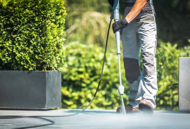 Animal Enclosure Cleaning in Duncanville, TX